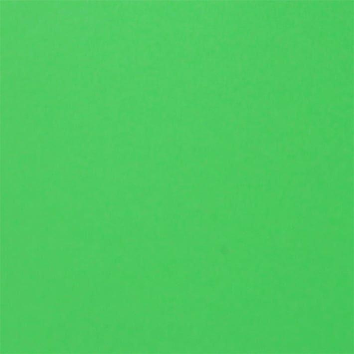 Fabriano Картон Colore, 50 x 70 cm, 200 g/m2, № 230, тревистозелен