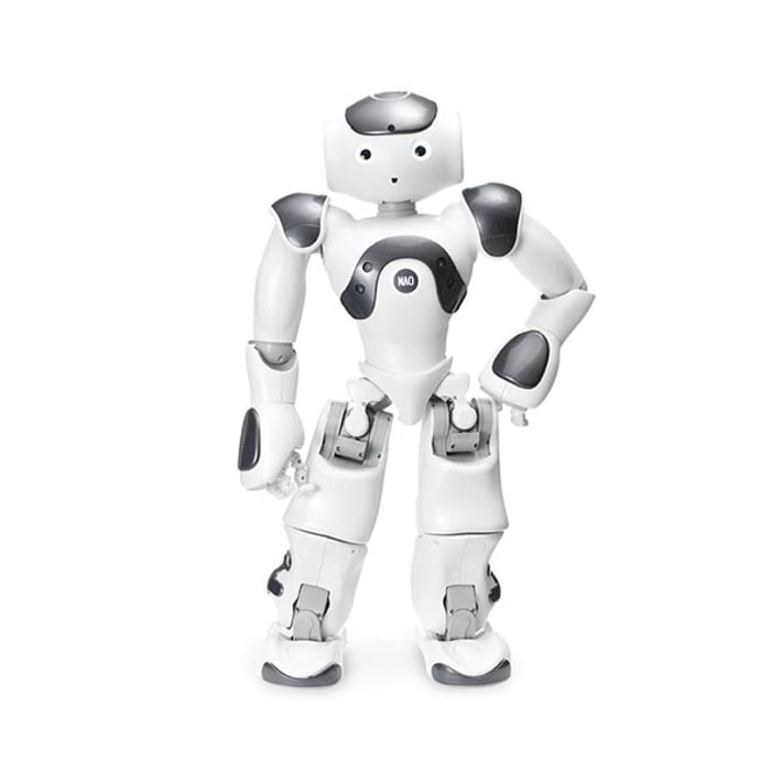 Nao Робот за програмиране, академичен, 2 години гаранция
