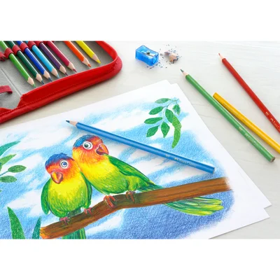 Faber-Castell Цветни моливи Triangular 18+4+2