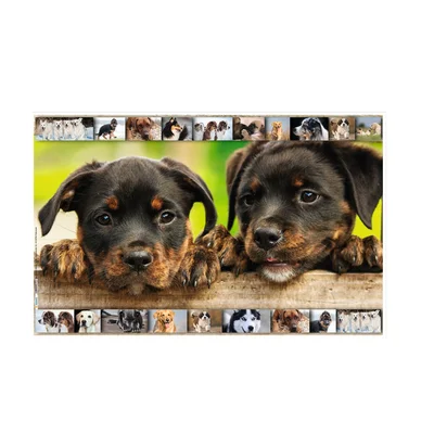 Herma Desk pad, 55 x 35 cm, dogs