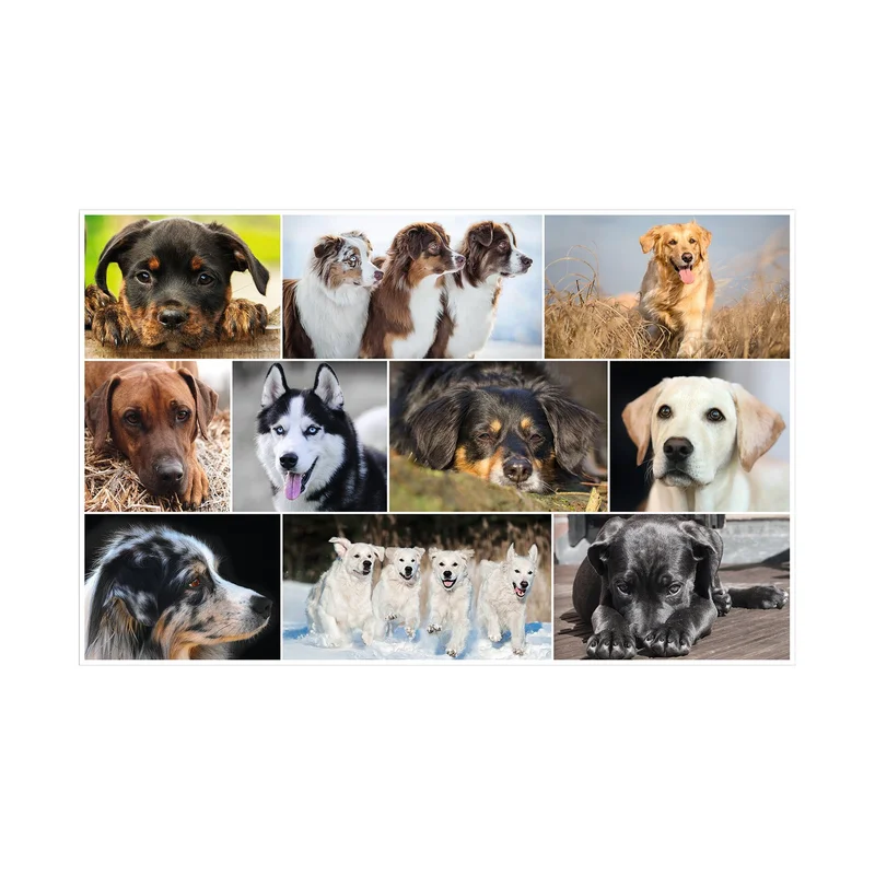 Herma Desk pad, 55 x 35 cm, dogs