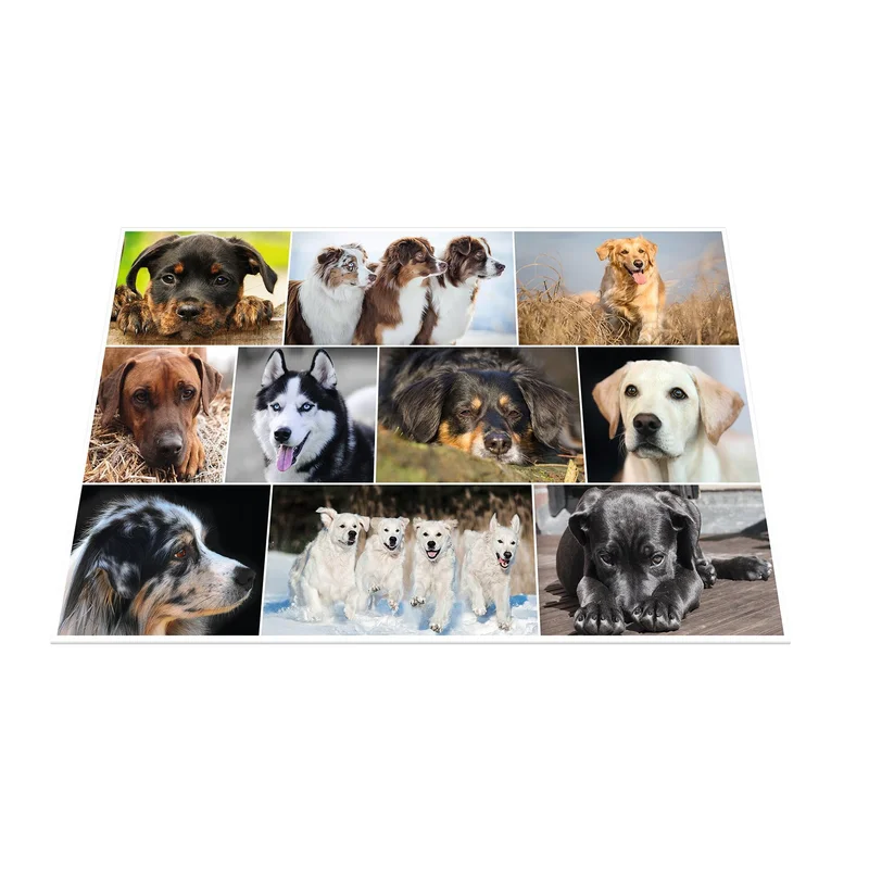 Herma Desk pad, 55 x 35 cm, dogs