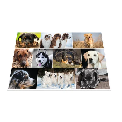 Herma Desk pad, 55 x 35 cm, dogs