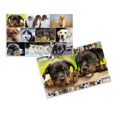 Herma Desk pad, 55 x 35 cm, dogs