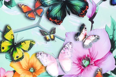 Herma Desk pad, cardboard, butterflies
