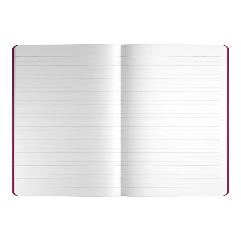 Art Pioneer Notebook Velvet Executive, A5, stitched, 64 sheets, cherry