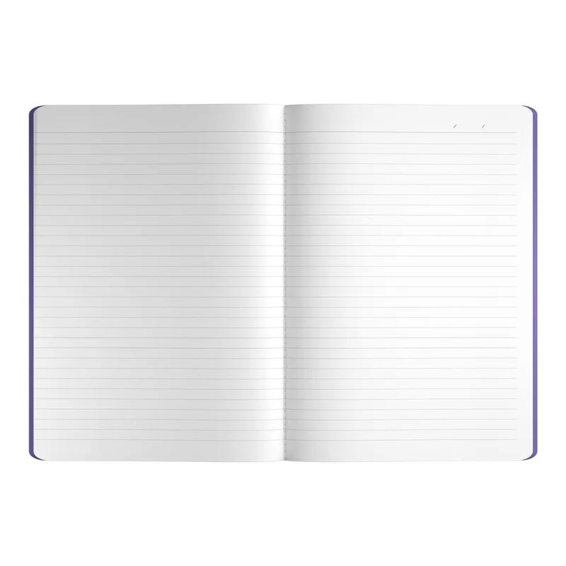 Art Pioneer Notebook Velvet Executive, A5, stitched, 64 sheets, purple