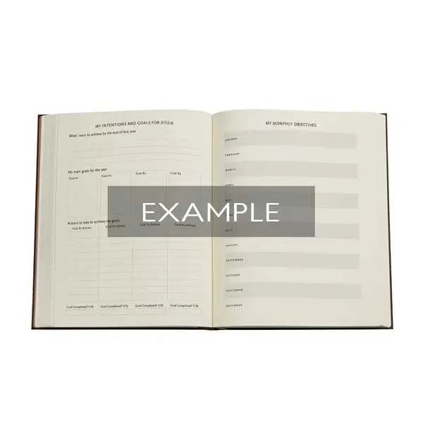Paperblanks Business planner Inkblot Bold, Ultra, soft cover, 112 sheets, for 2025