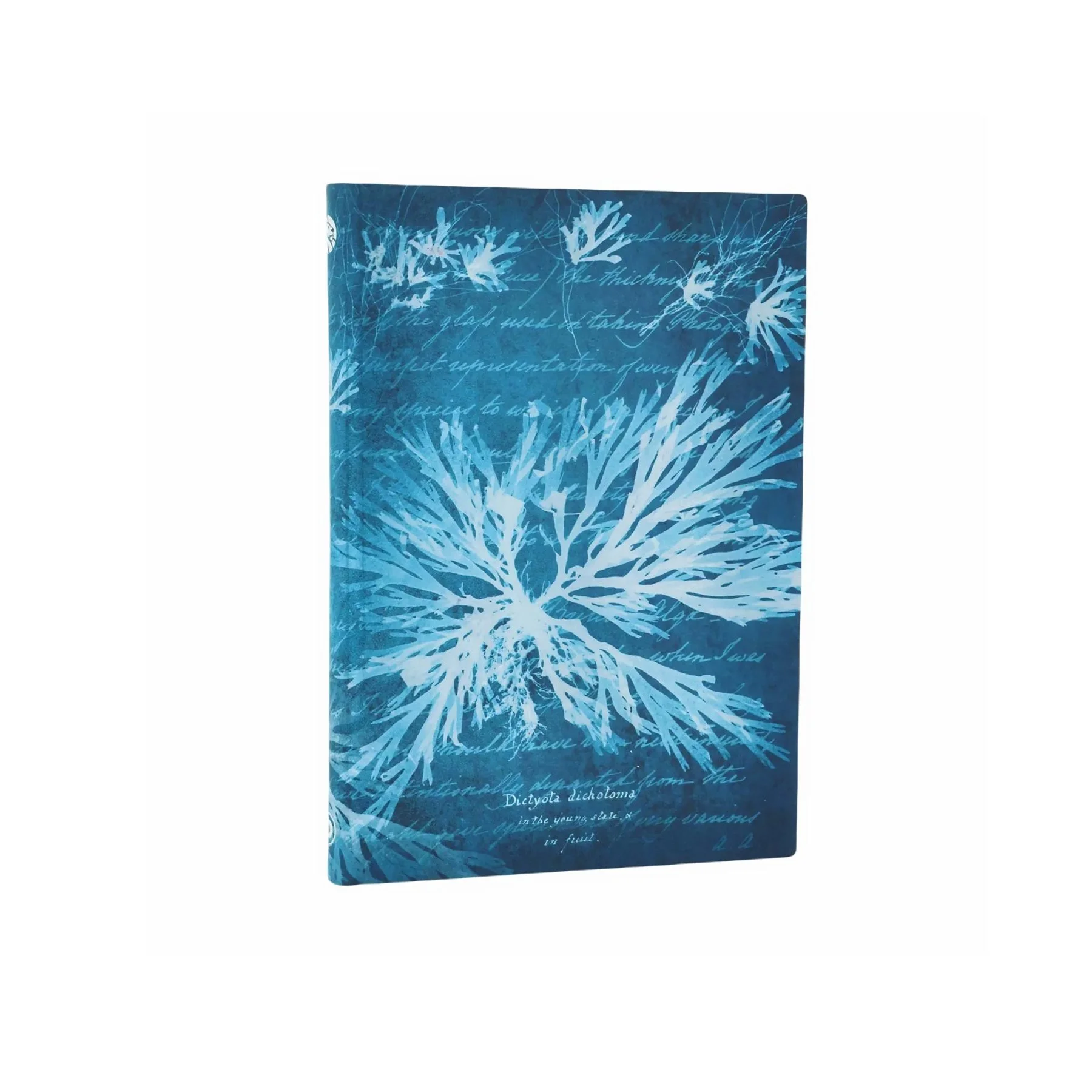 Paperblanks Journal Sea Flowers, Mini, softcover, wide ruled, 104 sheets