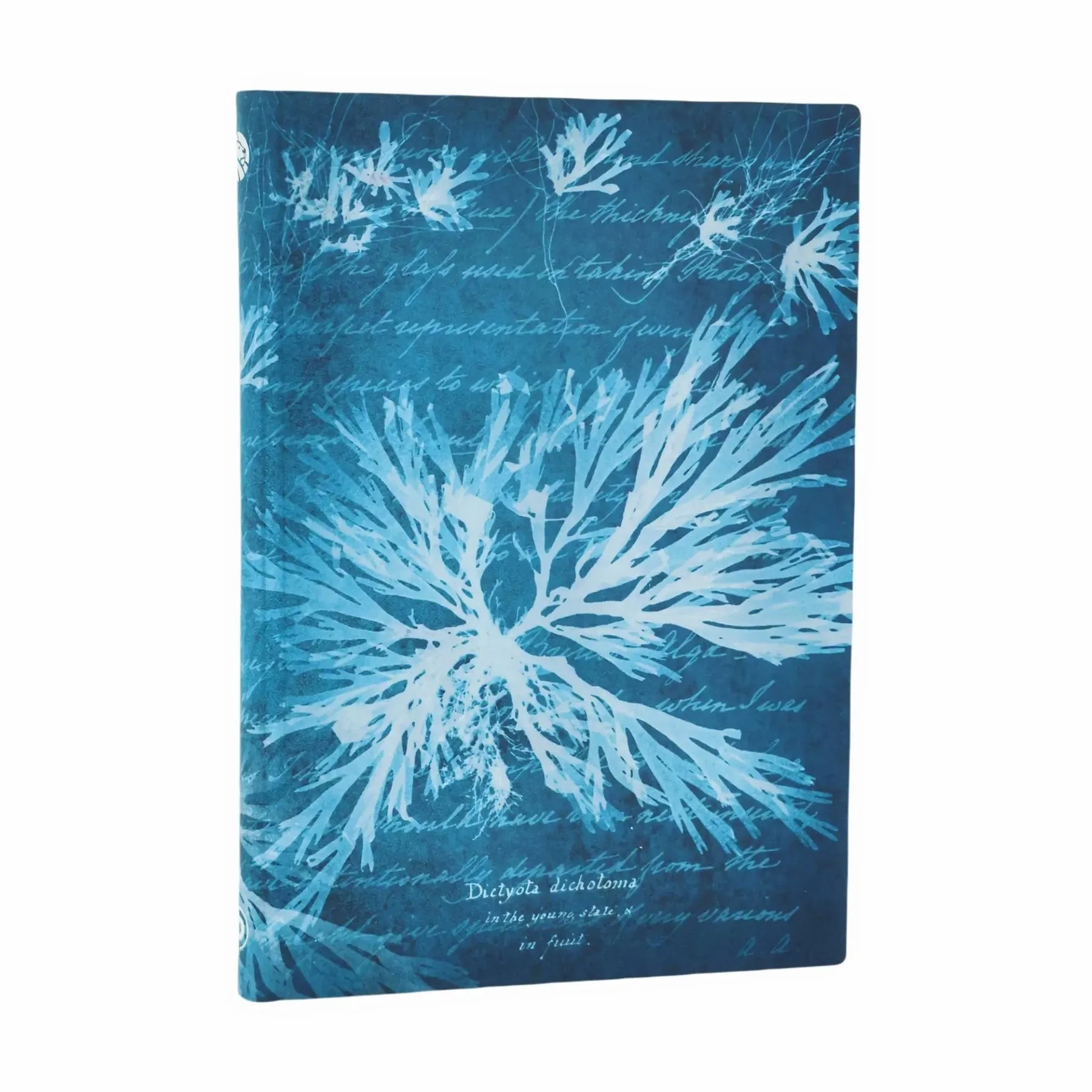 Paperblanks Тефтер Sea Flowers, Ultra, мека корица, нелиниран, 88 листа