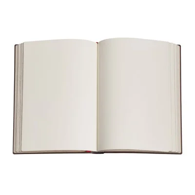 PAPERBLANKS VIVA FRIDA MIDI HARDCOVER NOTEBOOK 72 SHEETS PLAIN