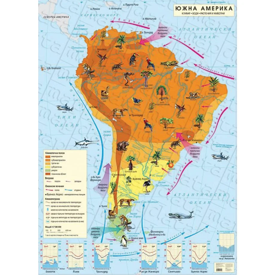 Wall map of South America, climatic, 100 x 140 cm, laminated