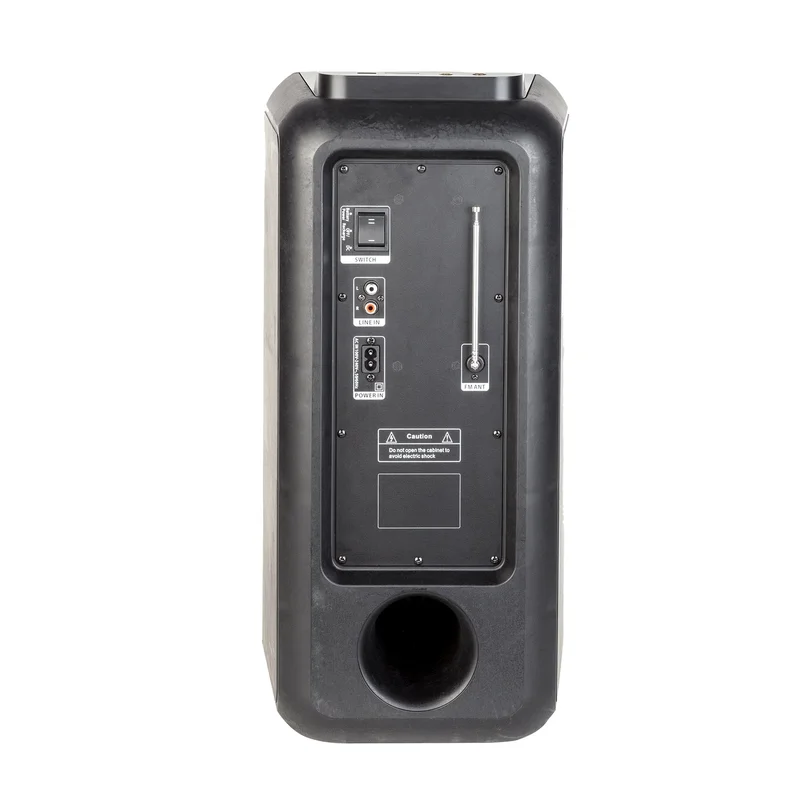Тонколона NGS Wild Jam, с Bluetooth, 120W