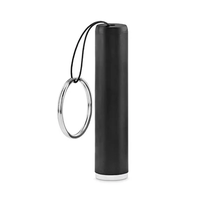 Sanlight Flashlight, black