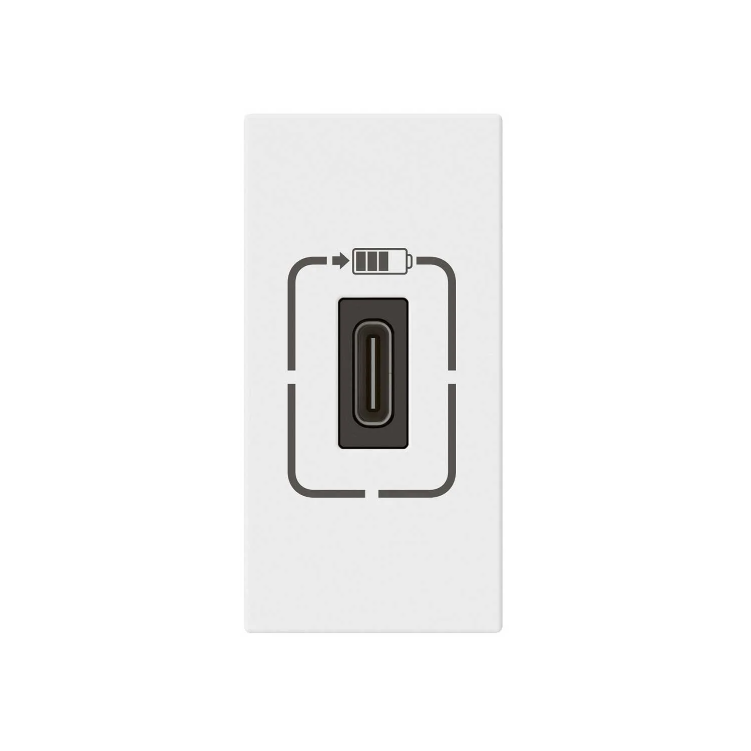 Socket Legrand Mosaic, USB Type-C, with 1 module, white