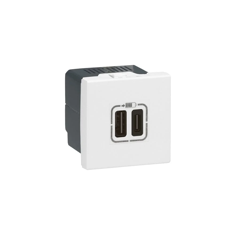 Socket Legrand Mosaic, 2 x USB Type-C, with 2 modules, white