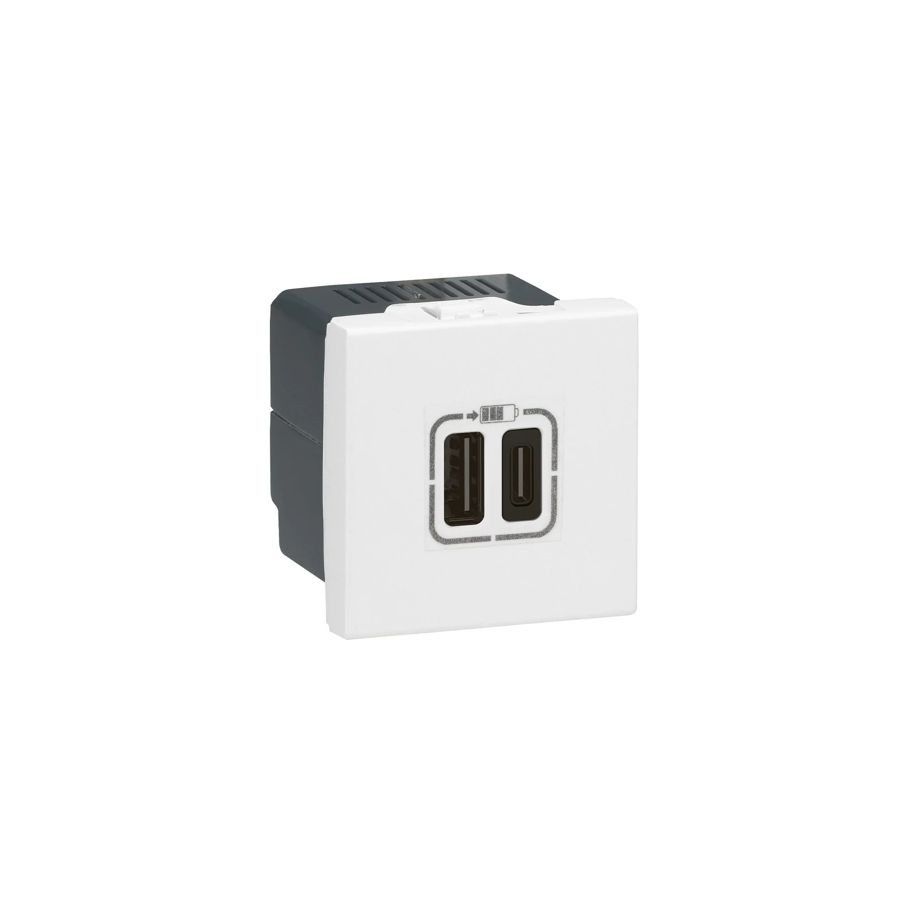 Socket Legrand Mosaic, USB Type-A+C, with 2 modules, white