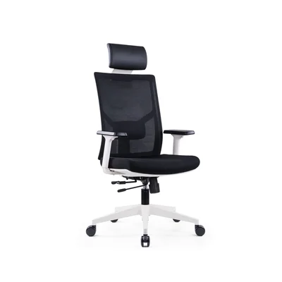 RFG Ergonomic chair Snow HB, black seat, black backrest