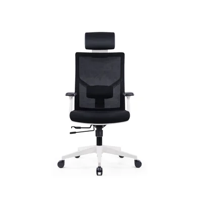 RFG Ergonomic chair Snow HB, black seat, black backrest