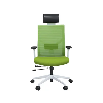 RFG Ergonomic chair Snow HB, green seat, green backrest