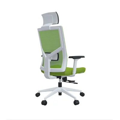 RFG Ergonomic chair Snow HB, green seat, green backrest