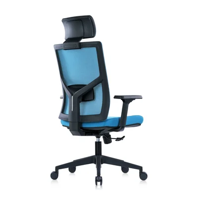 RFG Executive Chair Snow Black HB, light blue seat, light blue backrest