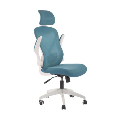 RFG Executive chair Jolly White HB, turquoise