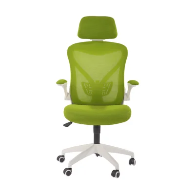 RFG Executive chair Jolly White HB, green