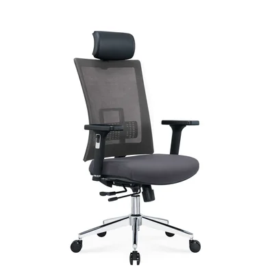 RFG Ergonomic chair Luxe Chrome HB, grey