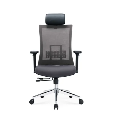 RFG Ergonomic chair Luxe Chrome HB, grey