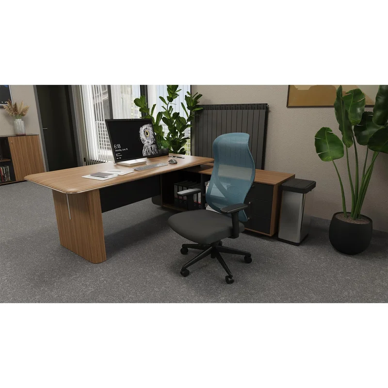 RFG Ergonomic Chair STAR HB, black seat, blue backrest