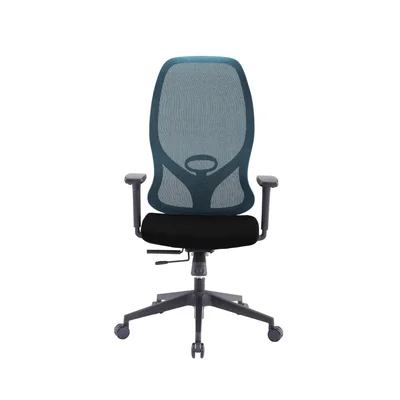 RFG Ergonomic Chair STAR HB, black seat, blue backrest
