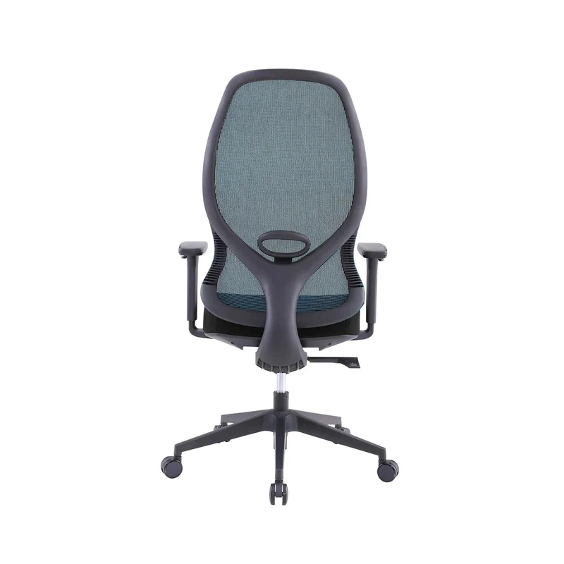 RFG Ergonomic Chair STAR HB, black seat, blue backrest