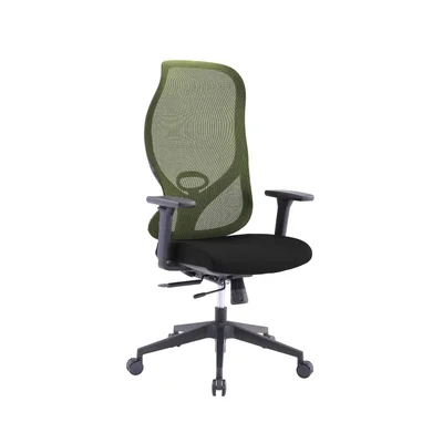 RFG Ergonomic Chair STAR HB, black seat, green backrest