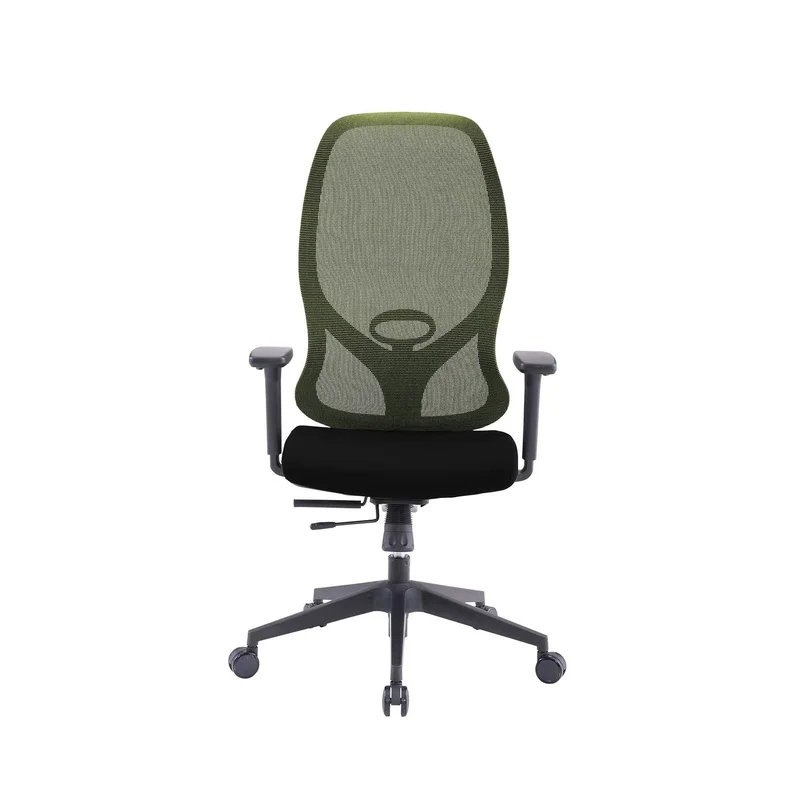 RFG Ergonomic Chair STAR HB, black seat, green backrest