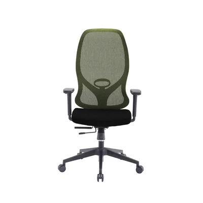 RFG Ergonomic Chair STAR HB, black seat, green backrest