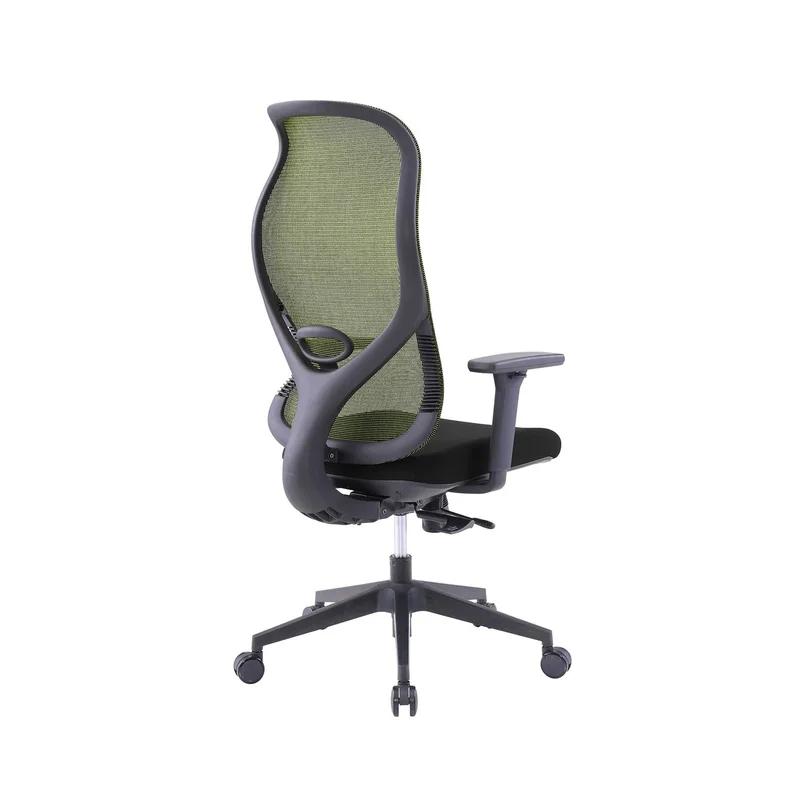 RFG Ergonomic Chair STAR HB, black seat, green backrest