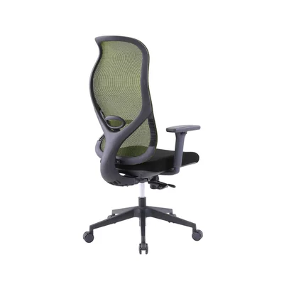 RFG Ergonomic Chair STAR HB, black seat, green backrest
