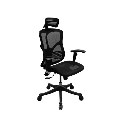 RFG Ergonomic Chair TECH@SMART, black