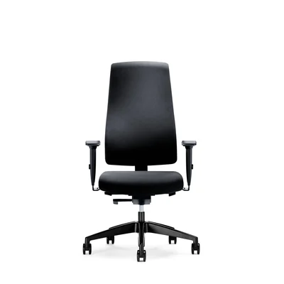 Interstuhl Ergonomic Chair Goal 24/7, black
