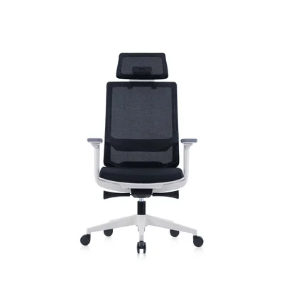 RFG Ergonomic Chair Meteor X White HB, black seat, black backrest