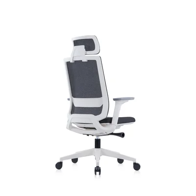 RFG Ergonomic Chair Meteor X White HB, black seat, black backrest