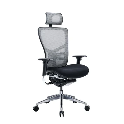 RFG Ergonomic Chair TECH@PRO, black seat, white-black backrest