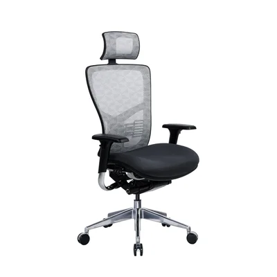RFG Ergonomic Chair TECH@PRO, black seat, white-black backrest
