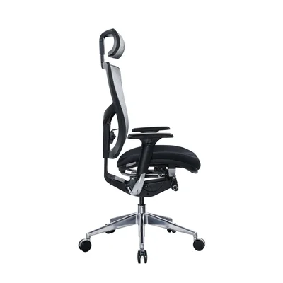 RFG Ergonomic Chair TECH@PRO, black seat, white-black backrest