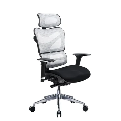 RFG Ergonomic chair TECH@GAMES, black seat, black-white backrest