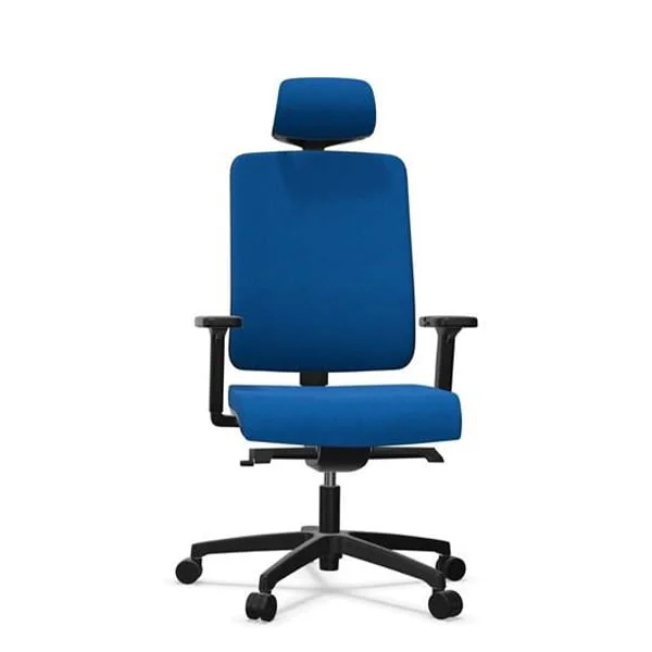 Rim Ergonomic chair Flexi FX 1114, blue, assembled sample