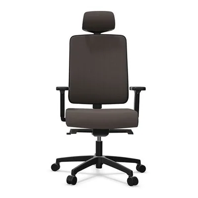 Rim Flexi Tech FX 1124 ergonomic chair, grey, assembled sample