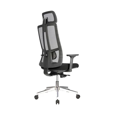 RFG Ergonomic chair Artur HB, black seat, black backrest