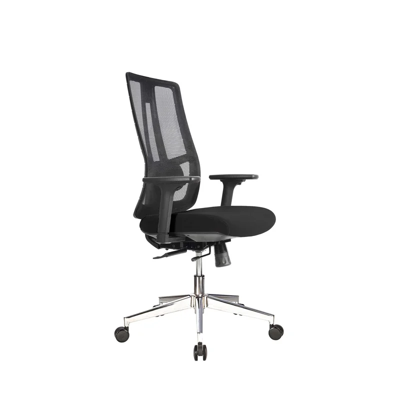 RFG Ergonomic chair Artur W, black seat, black backrest